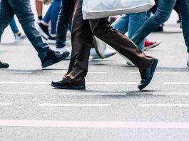 Científicos investigan cómo prevenir el Síndrome de Fragilidad en personas mayores