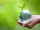 Día de la Tierra: el planeta pide una transformación desde nuestros hábitos