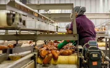 Higiene, trazabilidad y cumplimiento: los desafíos que enfrenta la industria alimentaria