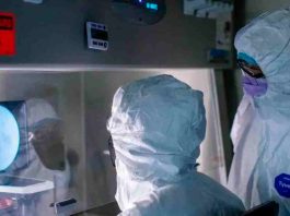 Ingenieros de manufactura de Mayo Clinic están a punto de entregar nuevas bioterapias