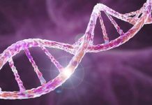 Investigadores de Mayo Clinic identifican una mutación genética medible como un predictor importante de metástasis y supervivencia en el cáncer de páncreas