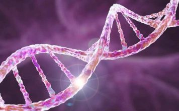 Investigadores de Mayo Clinic identifican una mutación genética medible como un predictor importante de metástasis y supervivencia en el cáncer de páncreas