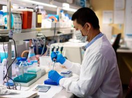 Investigadores de Mayo Clinic identifican una nueva diana en inmunoterapia para el cáncer de ovario