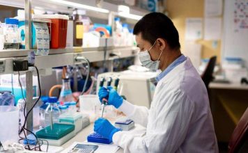 Investigadores de Mayo Clinic identifican una nueva diana en inmunoterapia para el cáncer de ovario