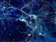 Mayo Clinic revela cambios en las células cerebrales que podrían explicar el síndrome de Tourette
