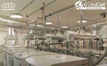 VidaCel: única institución chilena reacreditada 4 veces por AABB, en manejo de células madre