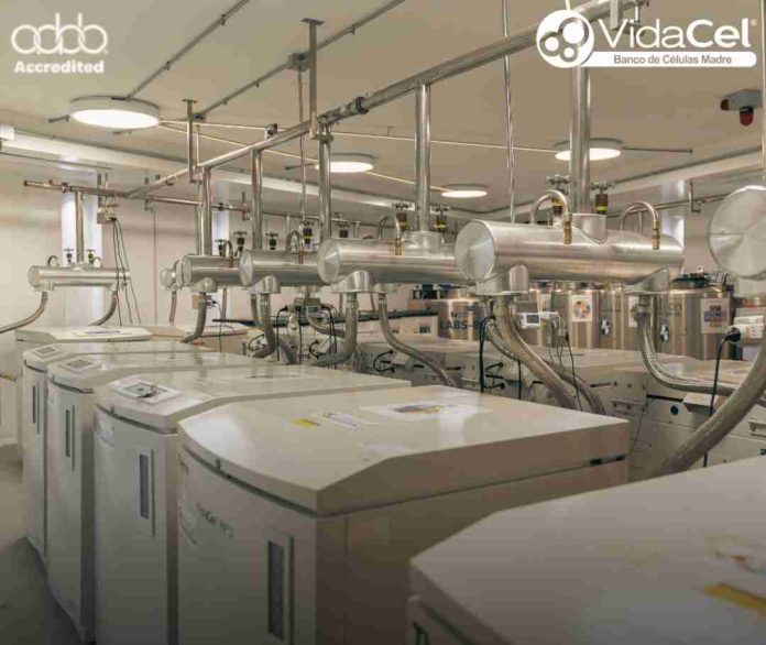 VidaCel: única institución chilena reacreditada 4 veces por AABB, en manejo de células madre