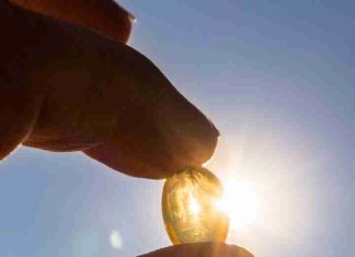 Vitamina D: la aliada silenciosa para la salud ósea, muscular e inmune
