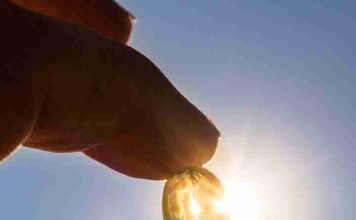 Vitamina D: la aliada silenciosa para la salud ósea, muscular e inmune