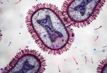 Médicos de América Latina publican Consenso sobre el Uso de Pruebas Rápidas para Mejorar Diagnóstico y Tratamiento de Infecciones Respiratorias Agudas
