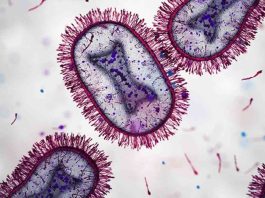 Médicos de América Latina publican Consenso sobre el Uso de Pruebas Rápidas para Mejorar Diagnóstico y Tratamiento de Infecciones Respiratorias Agudas