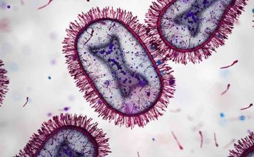 Médicos de América Latina publican Consenso sobre el Uso de Pruebas Rápidas para Mejorar Diagnóstico y Tratamiento de Infecciones Respiratorias Agudas