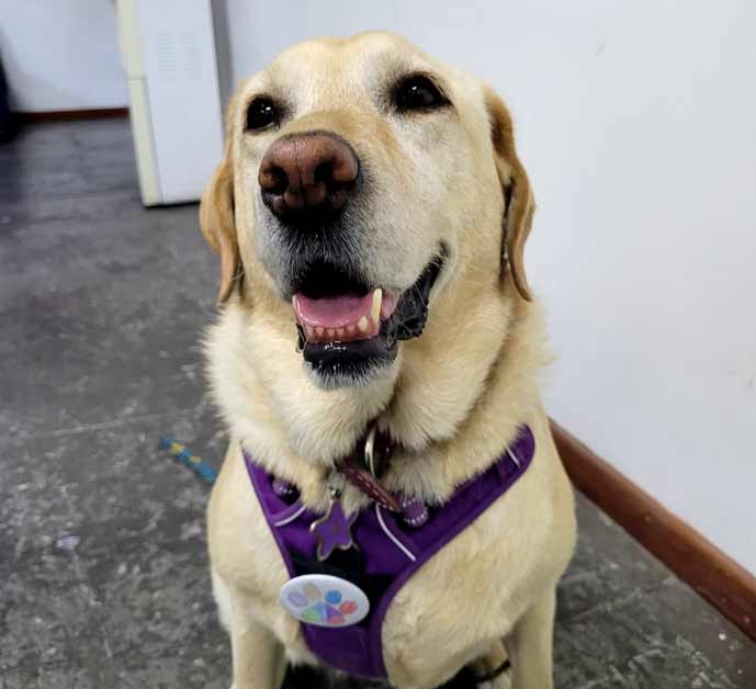 Taller de Arte Inclusivo en El Centro Cultural Espacio Matta de La Granja: El Lenguaje del autismo. Fundación Umbrella Family Chile