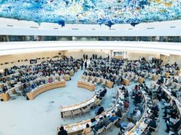 Ginebra: 78ª Asamblea Mundial de Salud,  Chile respalda firmemente el acuerdo  sobre Pandemias impulsado por la OMS 