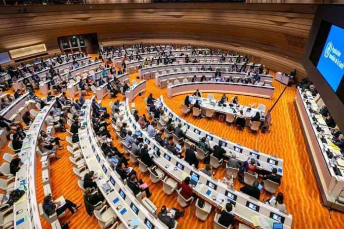 Ministra de Salud, Ximena Aguilera, aborda medidas financieras de la OMS en la 78° Asamblea Mundial de la Salud