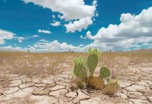 Ocho de cada diez chilenos creen que el cambio climático tiene un impacto en la salud de las personas 