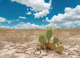 Ocho de cada diez chilenos creen que el cambio climático tiene un impacto en la salud de las personas 