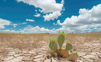 Ocho de cada diez chilenos creen que el cambio climático tiene un impacto en la salud de las personas 