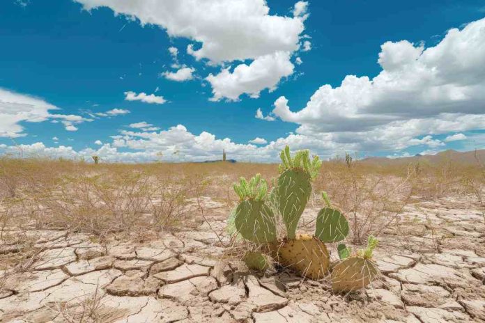 Ocho de cada diez chilenos creen que el cambio climático tiene un impacto en la salud de las personas 