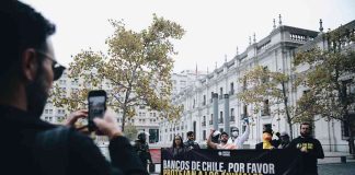 Chile reprueba en bienestar animal financiero: nuevo informe de ONG revela grave omisión