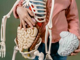 Cáncer de estómago: una amenaza silenciosa que se puede prevenir