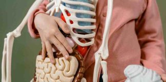 Cáncer de estómago: una amenaza silenciosa que se puede prevenir
