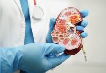 Cáncer de riñón: Advierten incremento de casos por envejecimiento poblacional