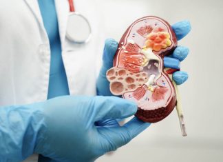 Cáncer de riñón: Advierten incremento de casos por envejecimiento poblacional