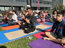 Elige Vivir Sano te invita a celebrar el Día Internacional del Yoga