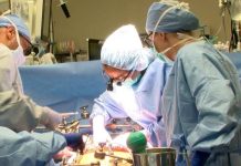 Estudio revela beneficios para la salud a largo plazo de la cirugía bariátrica y el trasplante de hígado