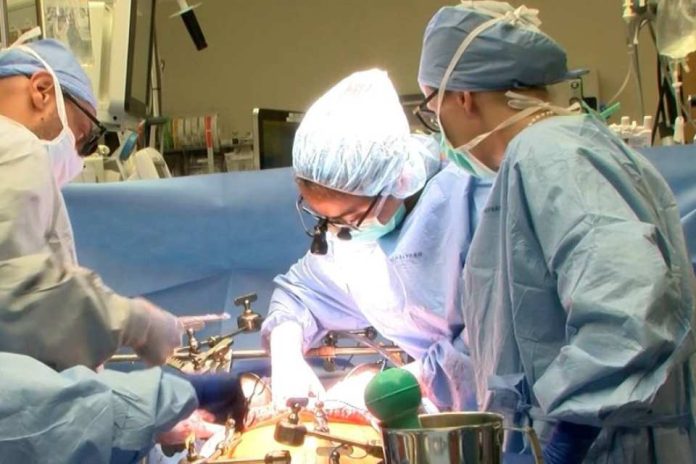 Estudio revela beneficios para la salud a largo plazo de la cirugía bariátrica y el trasplante de hígado