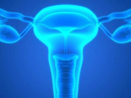 Investigadores de Mayo Clinic identifican los primeros signos de riesgo de cáncer de ovario