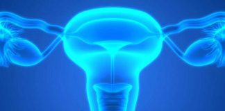 Investigadores de Mayo Clinic identifican los primeros signos de riesgo de cáncer de ovario