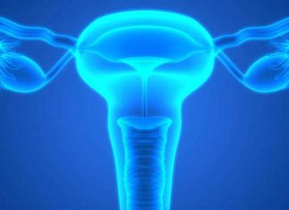 Investigadores de Mayo Clinic identifican los primeros signos de riesgo de cáncer de ovario