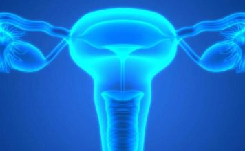 Investigadores de Mayo Clinic identifican los primeros signos de riesgo de cáncer de ovario