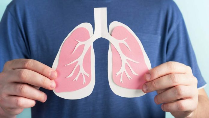 Purificar el aire en casa: una medida clave para prevenir enfermedades respiratorias este invierno