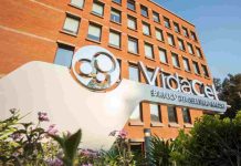 VidaCel: dos décadas liderando la criopreservación de células madre en Chile