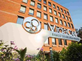 VidaCel: dos décadas liderando la criopreservación de células madre en Chile