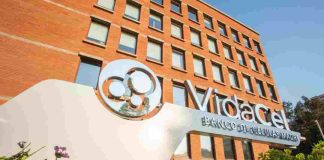 VidaCel: dos décadas liderando la criopreservación de células madre en Chile