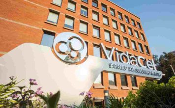 VidaCel: dos décadas liderando la criopreservación de células madre en Chile