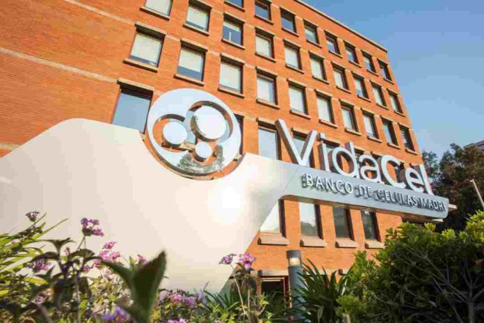 VidaCel: dos décadas liderando la criopreservación de células madre en Chile