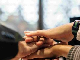 Violencia escolar y salud mental: alerta urgente, tratamiento integral 