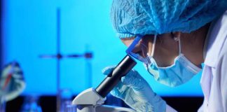 Nueva tecnología diagnóstica mejora tiempos y precisión en detección de cánceres hematológicos