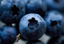 7 usos medicinales de los arándanos