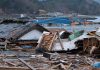 A 20 años del falso tsunami pasamos del pánico masivo a la pasividad