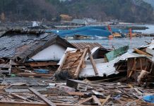 A 20 años del falso tsunami pasamos del pánico masivo a la pasividad