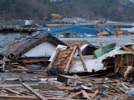 A 20 años del falso tsunami pasamos del pánico masivo a la pasividad