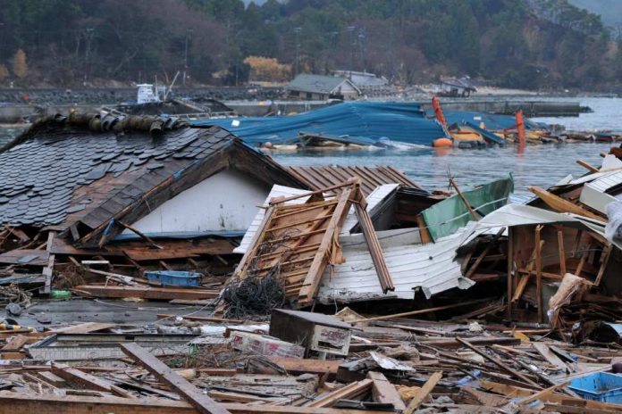 A 20 años del falso tsunami pasamos del pánico masivo a la pasividad