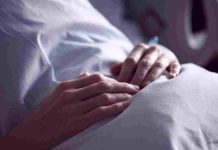 Amiloidosis Hereditaria por Transtiretina: Una enfermedad silenciosa y agresiva que afecta a adultos