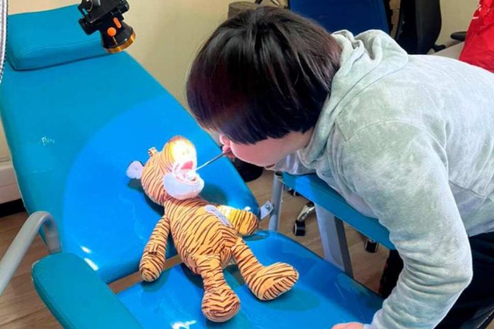Clínica Mora Pavic realiza operativo dental gratuito para niños y niñas de Fundación TEA Chile